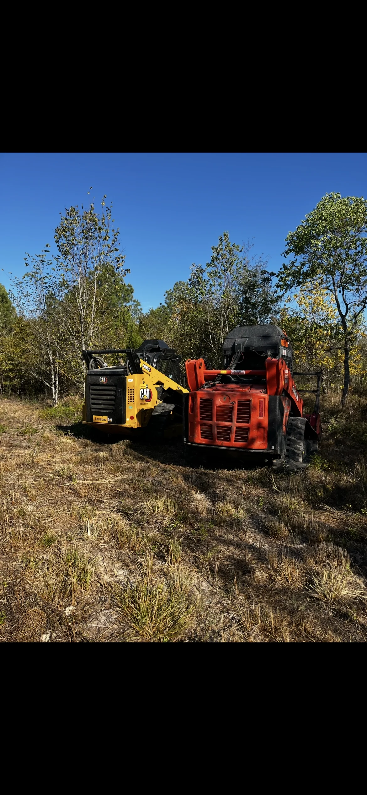 CAT skid steer and red forestry mulcher clearing wooded land with mixed deciduous trees