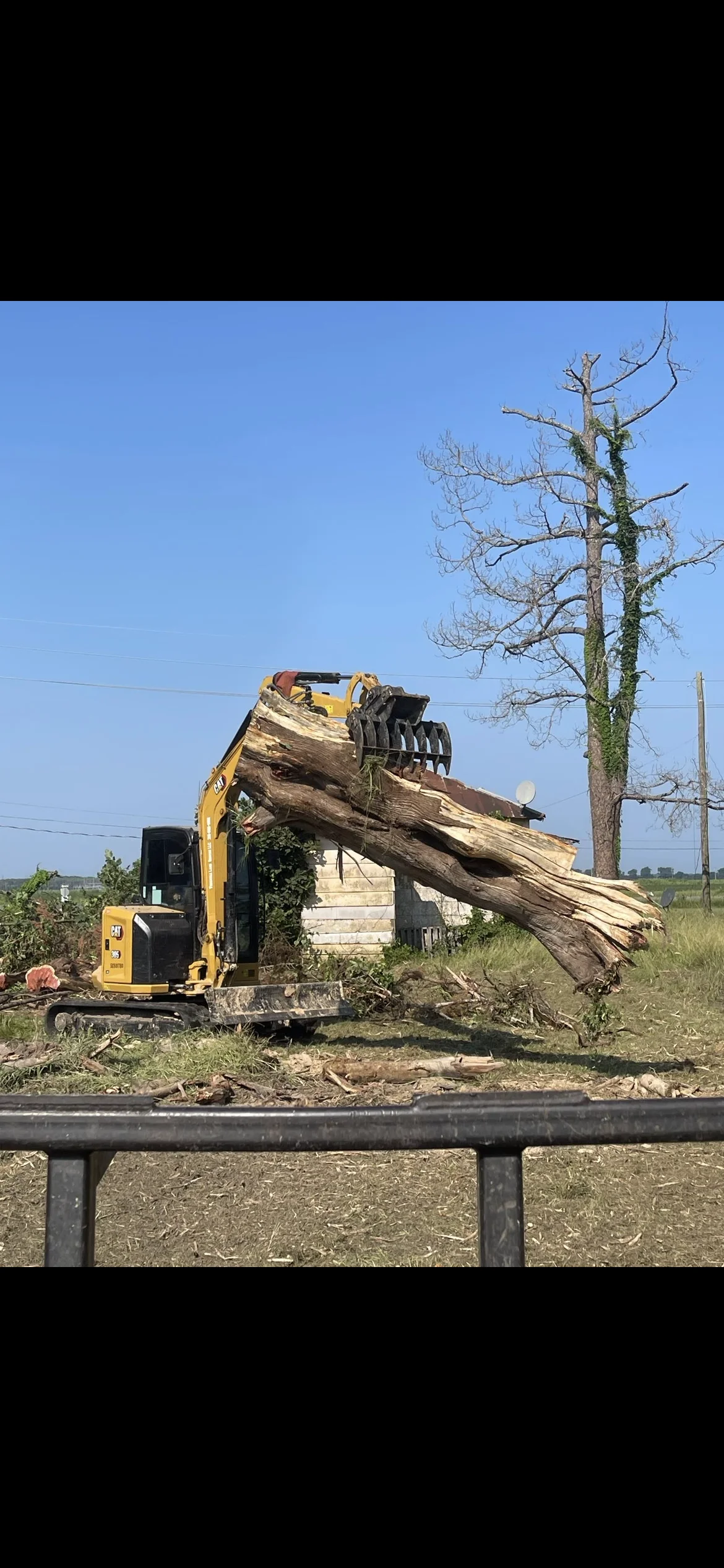 Compact excavator with grapple bucket removing large dead tree from cleared land