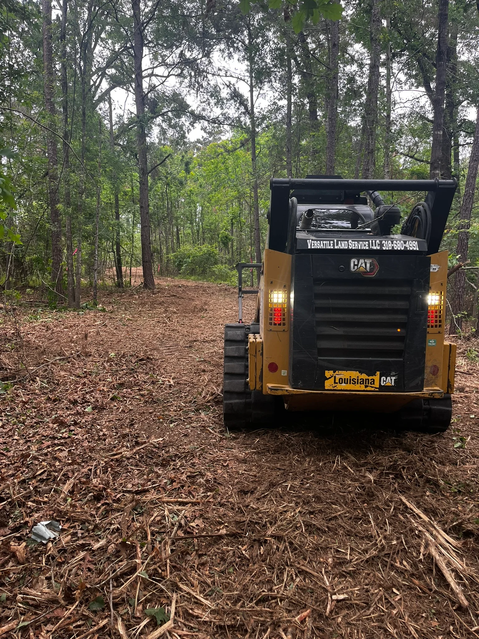 CAT skid steer loader with debris bucket clearing wooded land, showing removed brush and mulch