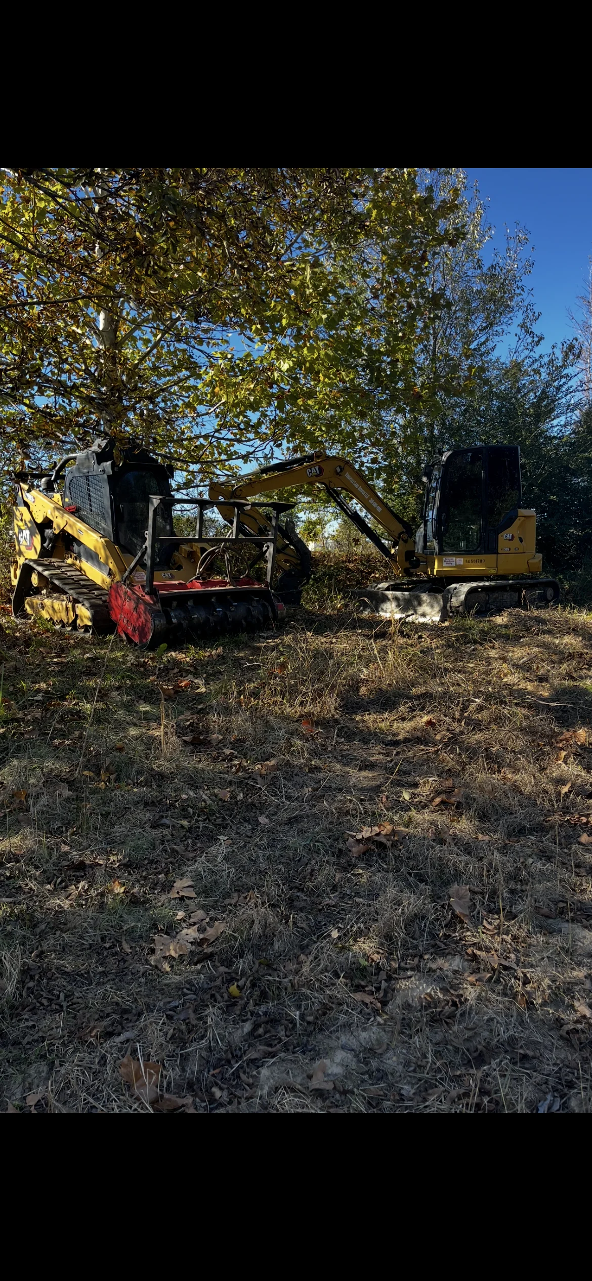 CAT excavator and skid steer loader clearing overgrown brush and trees from wooded land