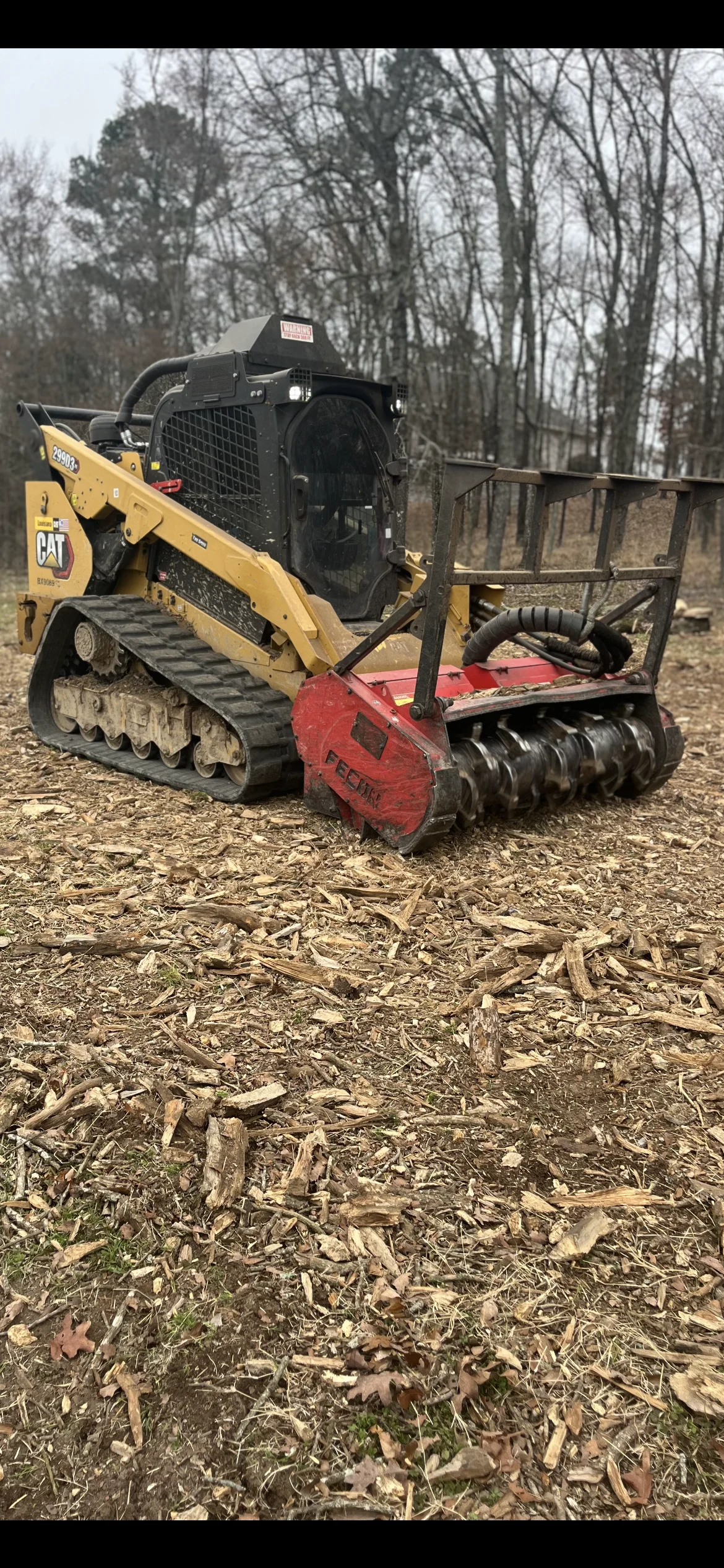 CAT skid steer with red mulching head clearing wooded lot, processing brush into mulch