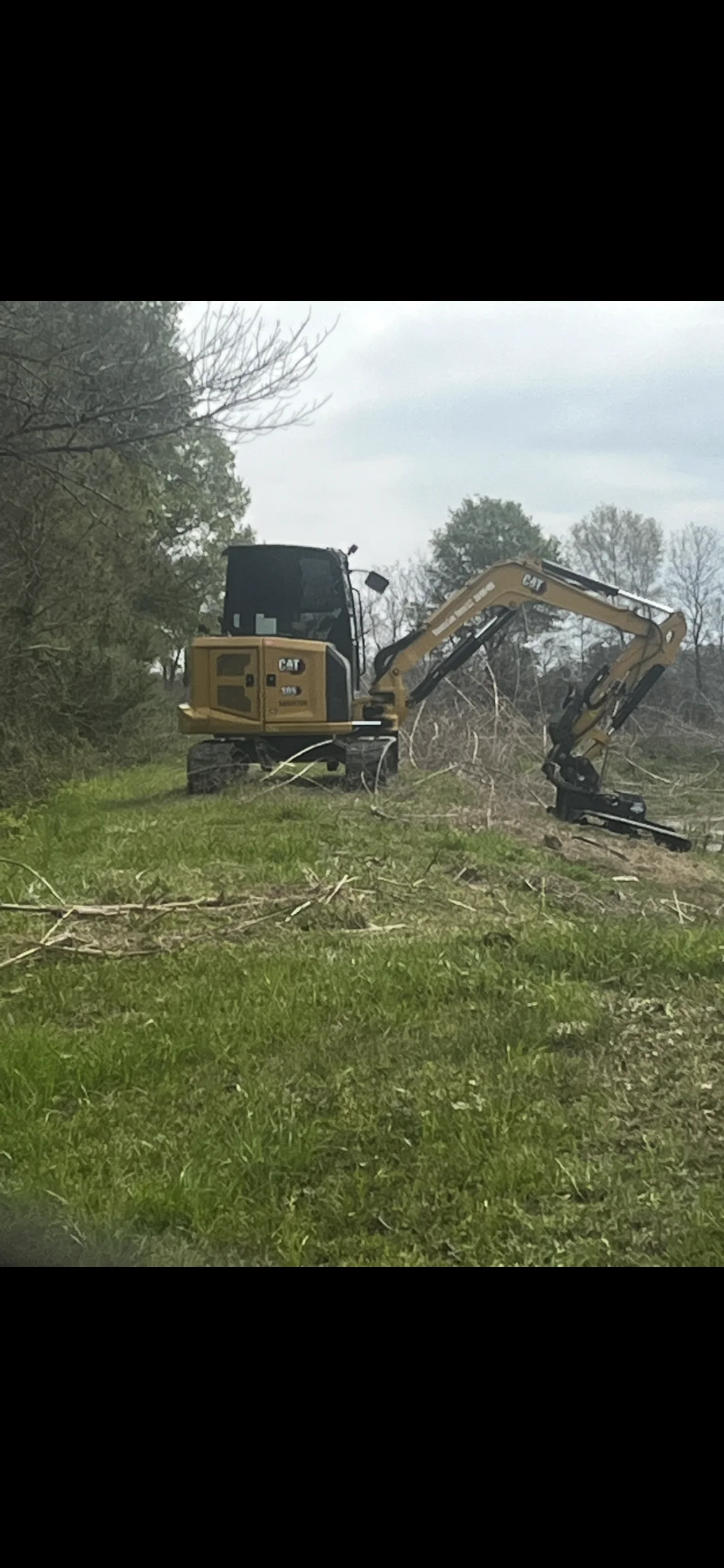CAT excavator clearing brush and fallen trees from overgrown property with bucket attachment