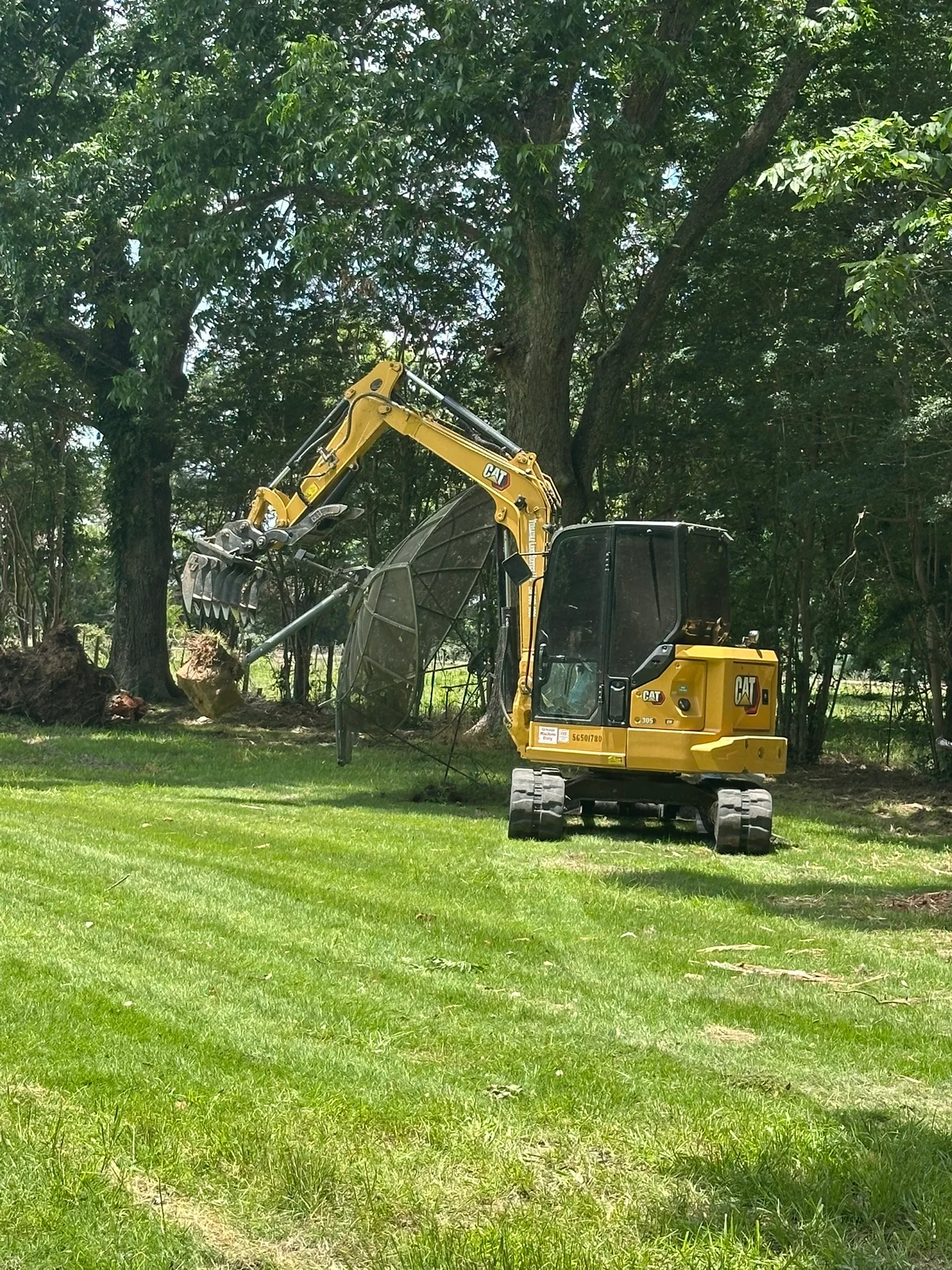 CAT excavator with grapple attachment removing large tree from wooded property