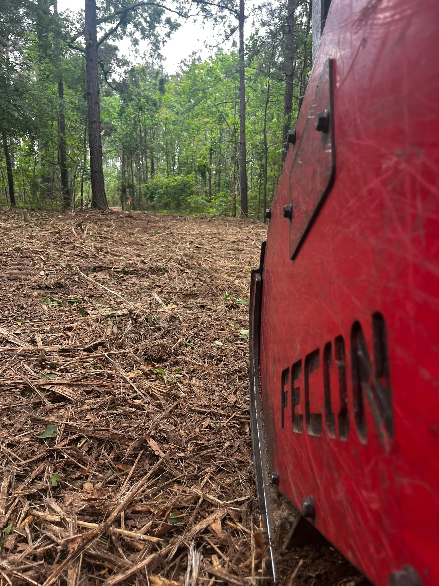 Cleared wooded lot with wood chips and debris removal, mature trees in background