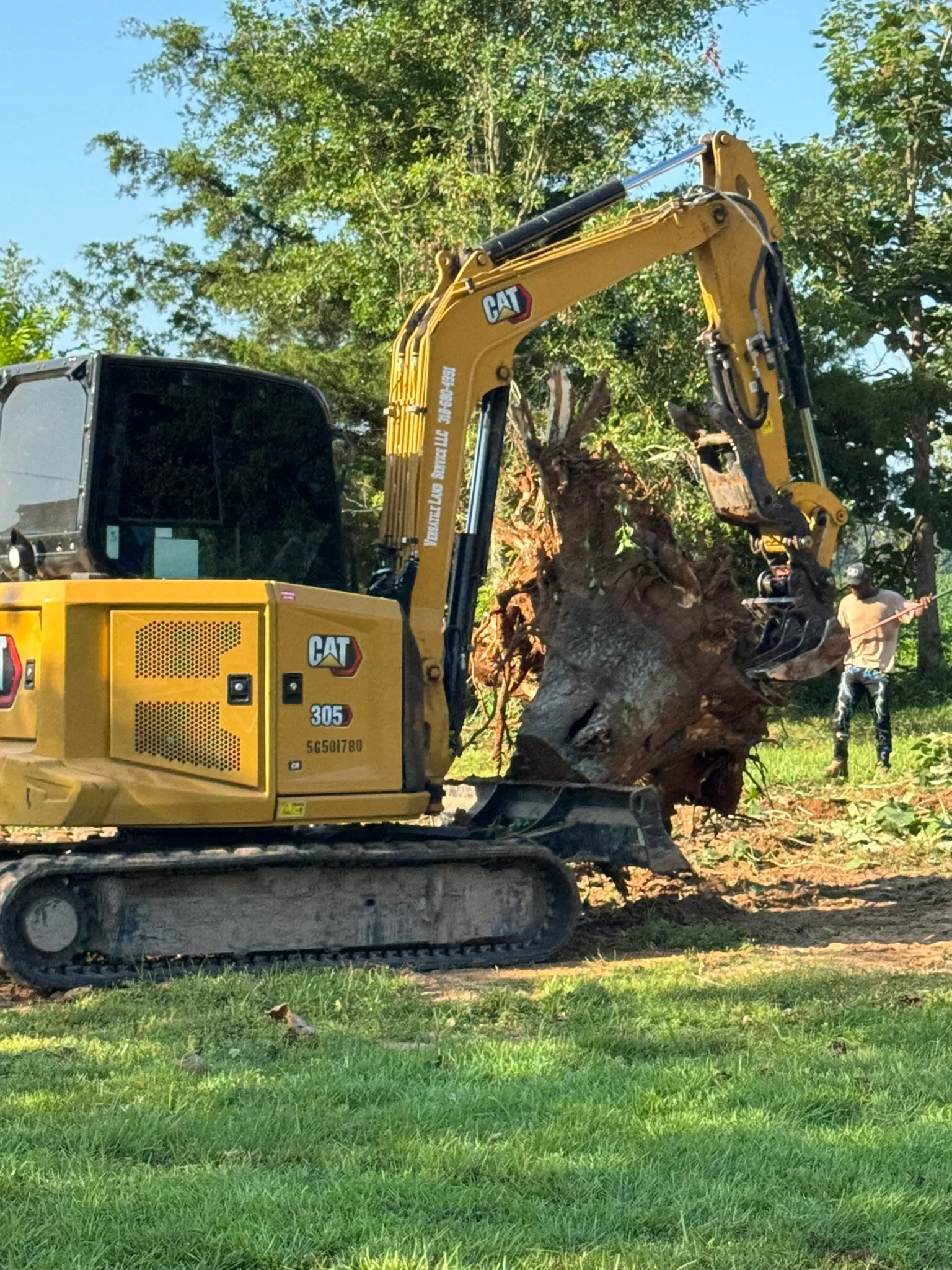 CAT 305 mini excavator removing large tree stump with exposed roots from grassy residential lot